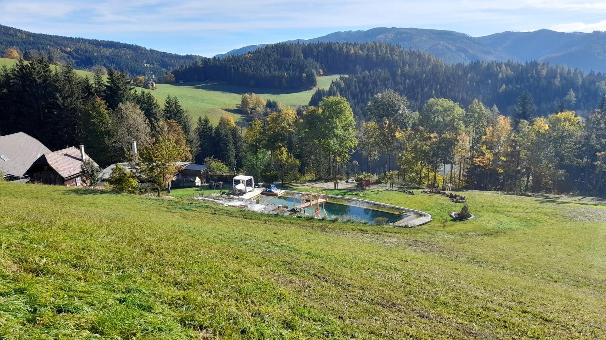 Ferienhaus Pliescherhof Villa Turnau Eksteriør bilde