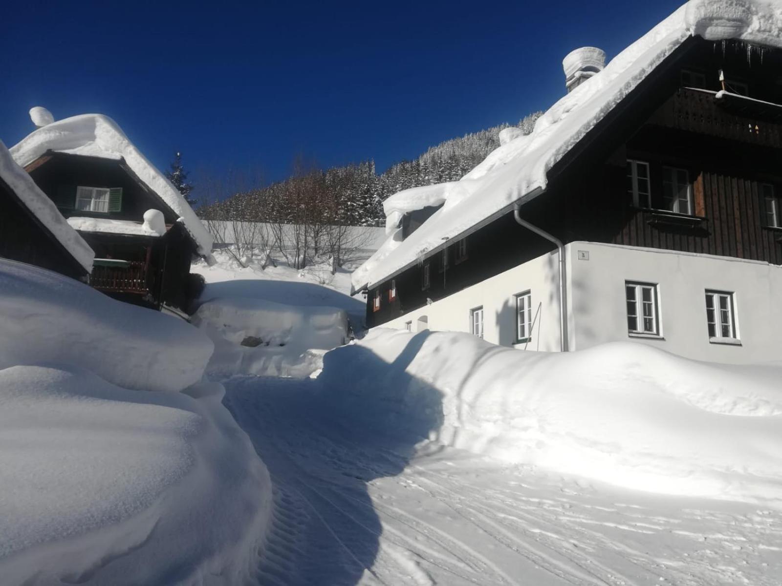 Ferienhaus Pliescherhof Villa Turnau Eksteriør bilde