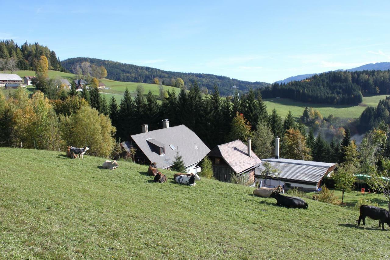 Ferienhaus Pliescherhof Villa Turnau Eksteriør bilde